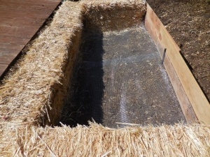 Garden-Bed-Built-Crop