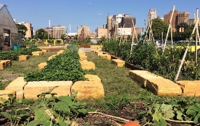 Keep Growing Detroit Farm