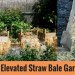 Elevated Straw Bale Garden Ged