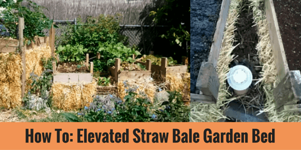Elevated Straw Bale Garden Ged