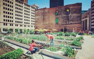 Greening of Detroit urban farm