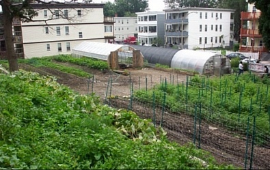 ReVision Urban Farm in Boston