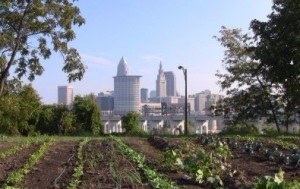 Ohio City Farm in Cleveland, OH