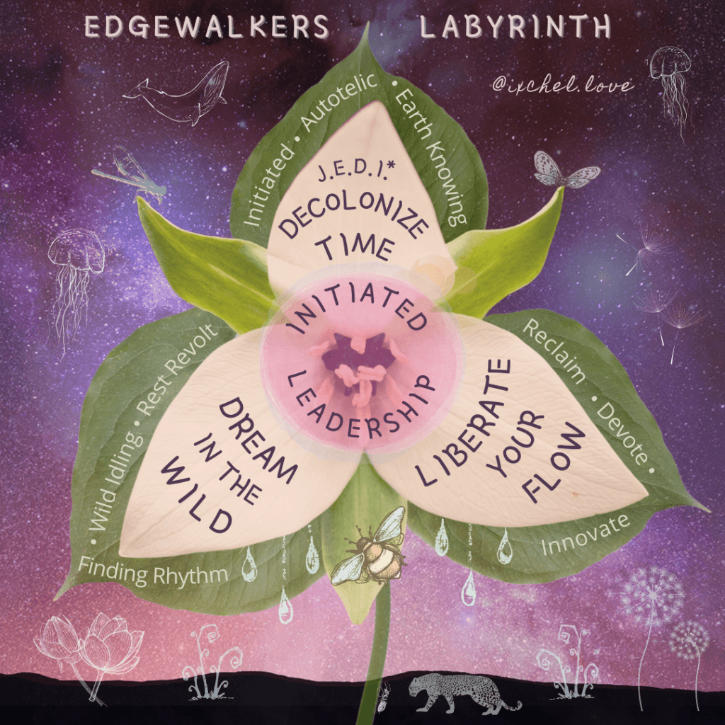 Edgewalkers Labyrinth Venn Flower of my process